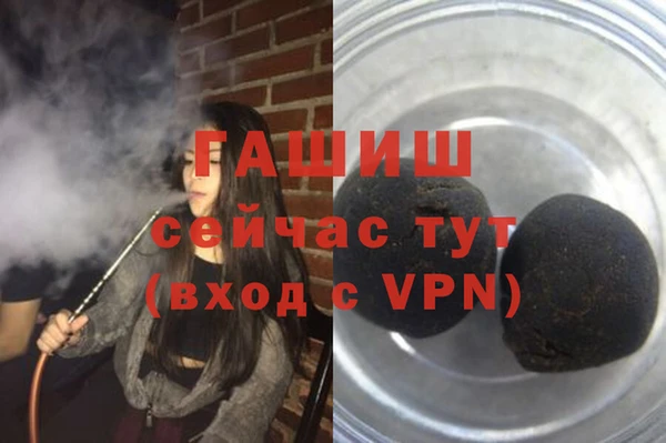 стаф Волоколамск