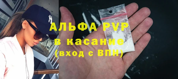 стаф Волоколамск