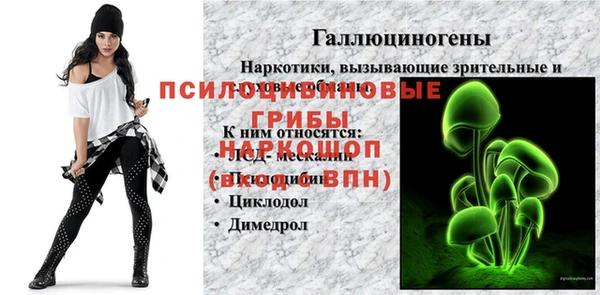 стаф Волоколамск