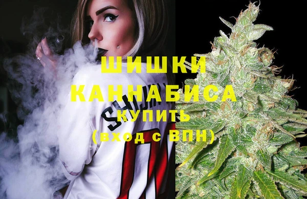 стаф Волоколамск