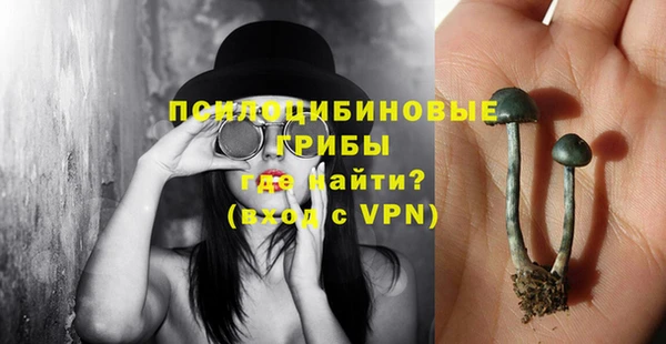 стаф Волоколамск