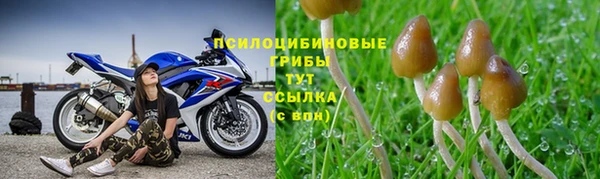 соль курить ск Володарск